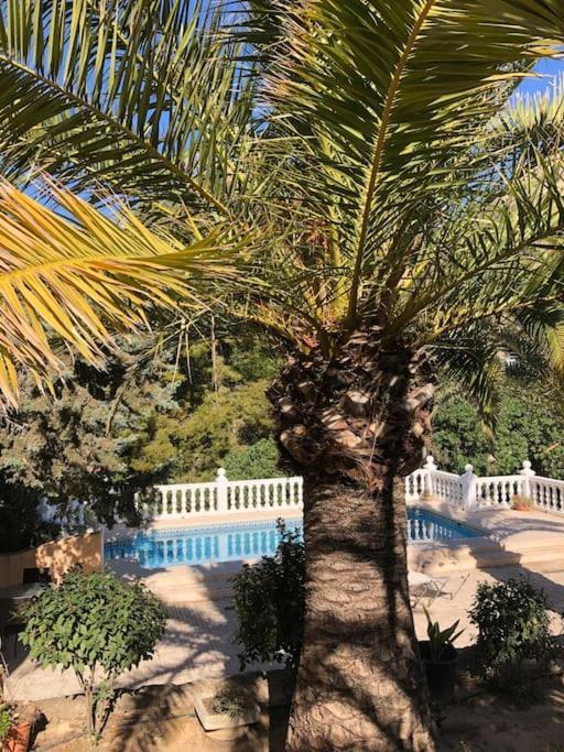 Casa Con Piscina Appartement *